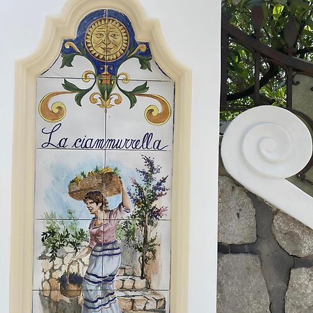 B&B La Ciammurrella Anacapri  Exteriör bild