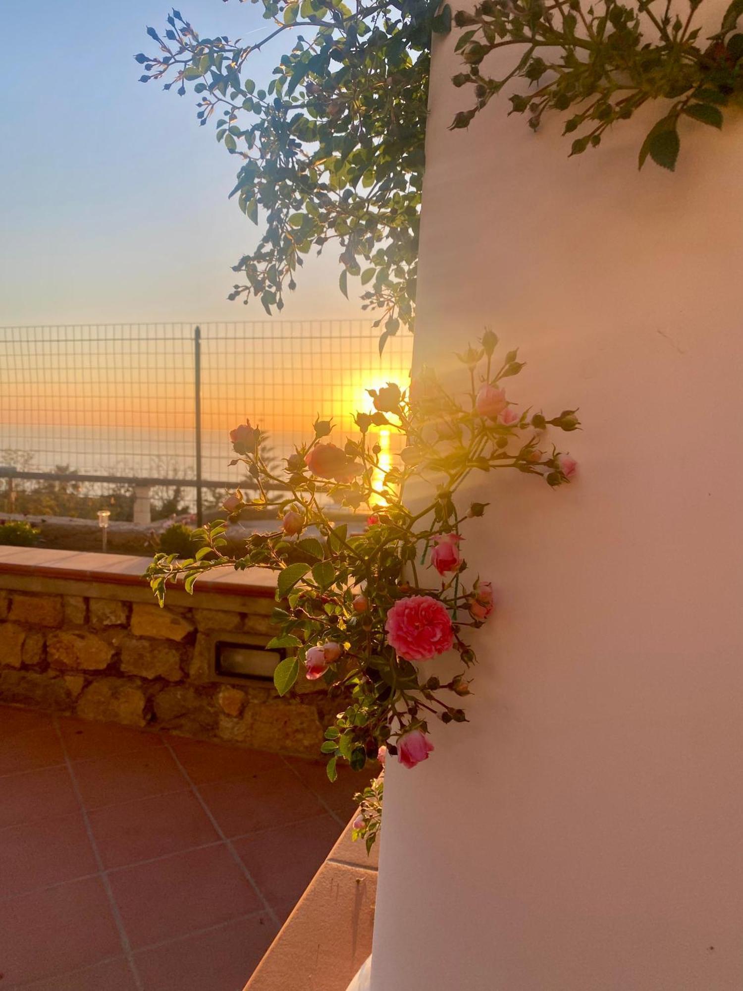 B&B La Ciammurrella Anacapri  Exteriör bild